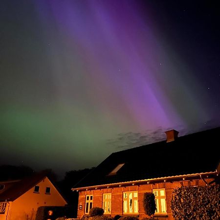 Fly B&B Skive Bagian luar foto